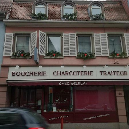 "Cote Nature", Appartement Cosy Au Coeur De Munster Munster  Dış mekan fotoğraf