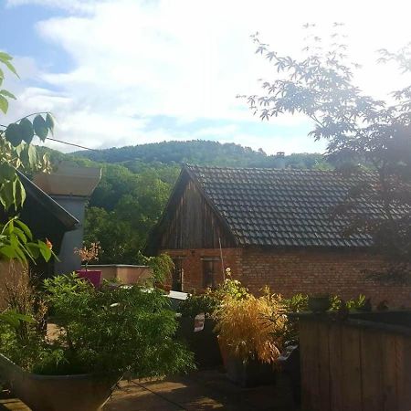 "Cote Nature", Appartement Cosy Au Coeur De Munster Munster  Dış mekan fotoğraf