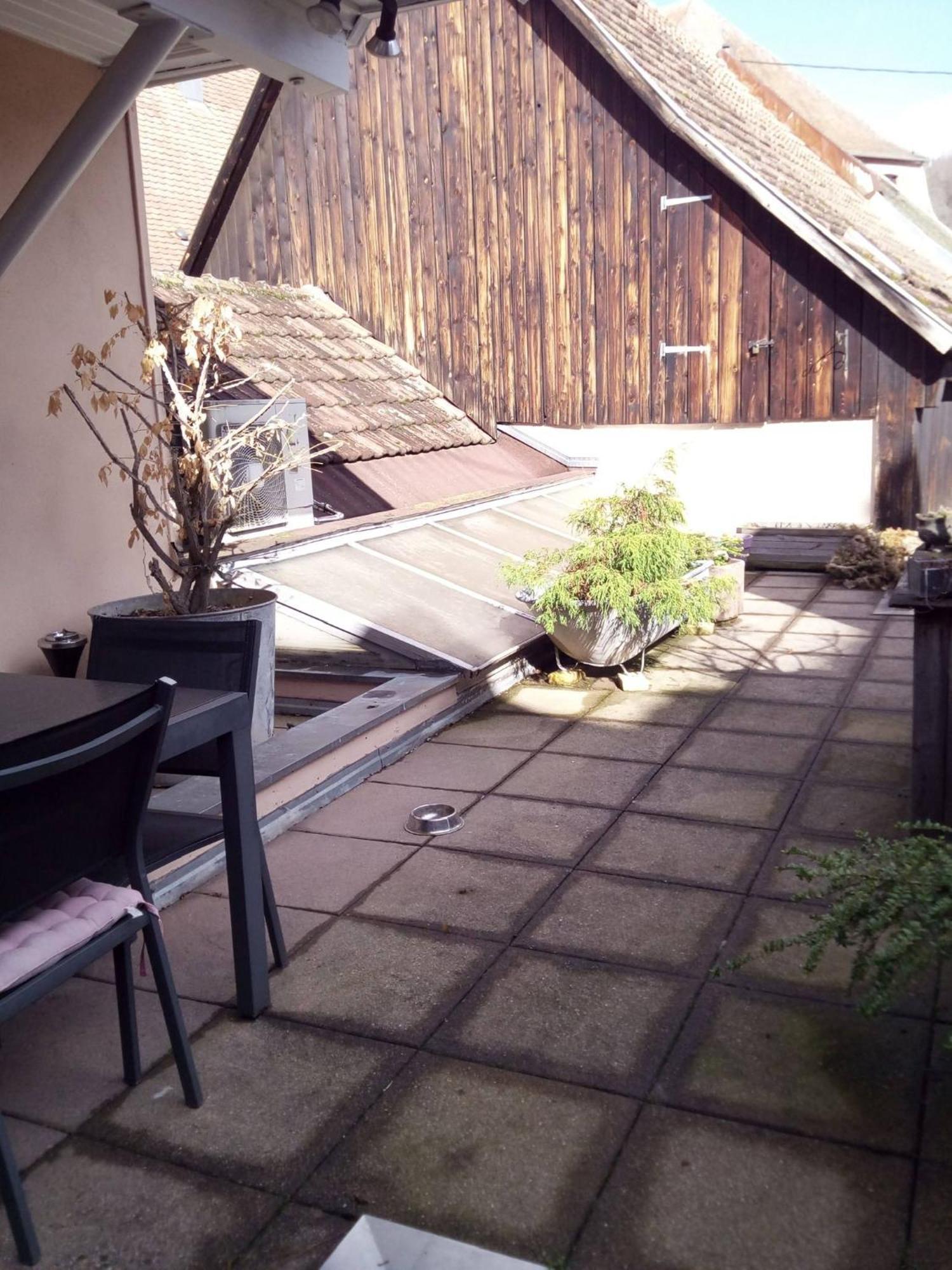 "Cote Nature", Appartement Cosy Au Coeur De Munster Munster  Dış mekan fotoğraf