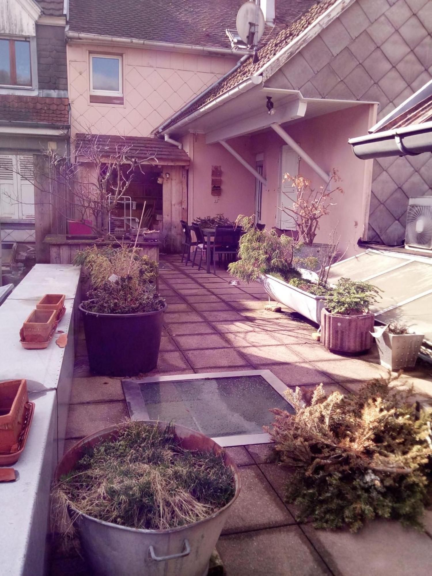 "Cote Nature", Appartement Cosy Au Coeur De Munster Munster  Dış mekan fotoğraf