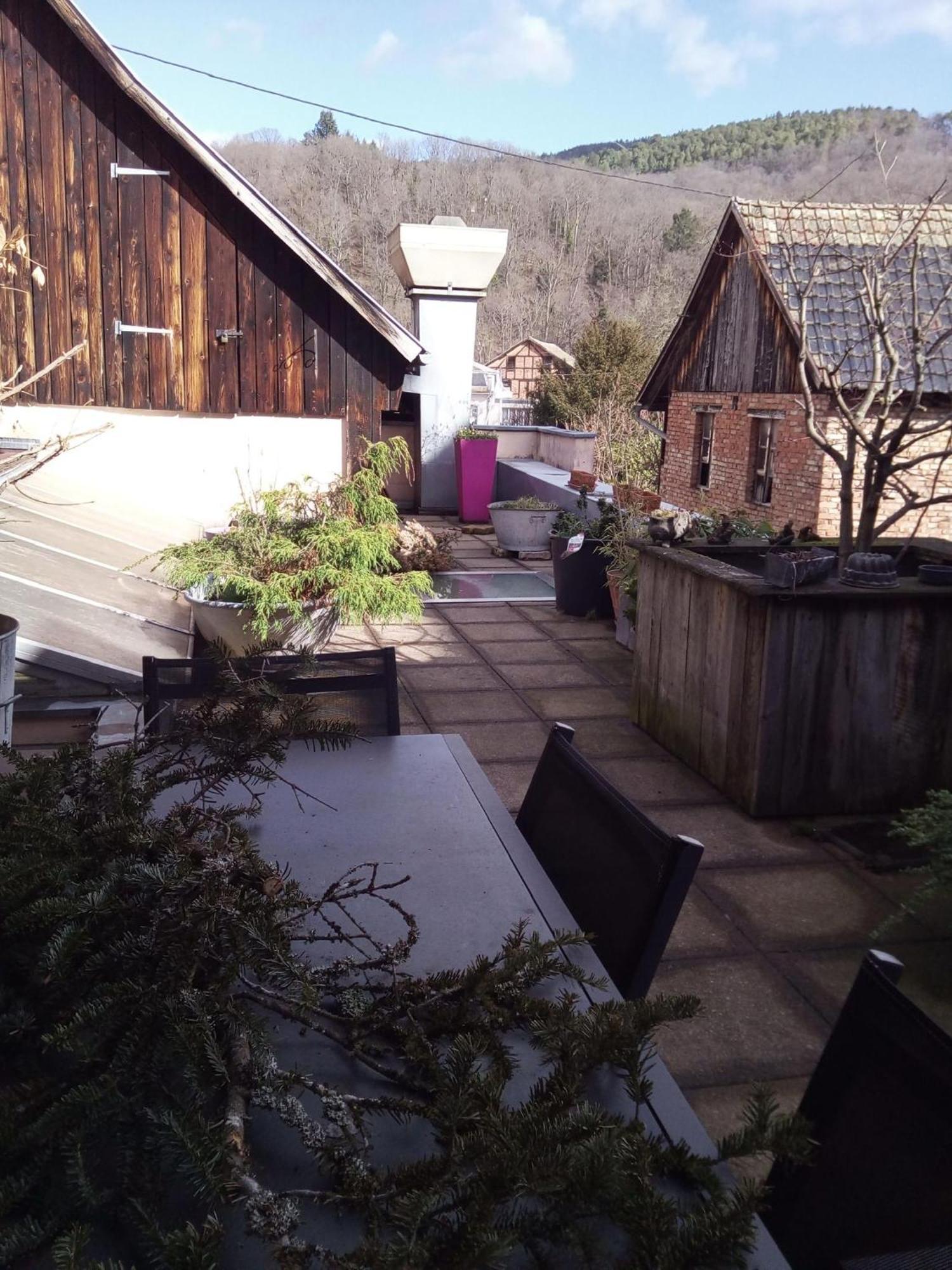 "Cote Nature", Appartement Cosy Au Coeur De Munster Munster  Dış mekan fotoğraf